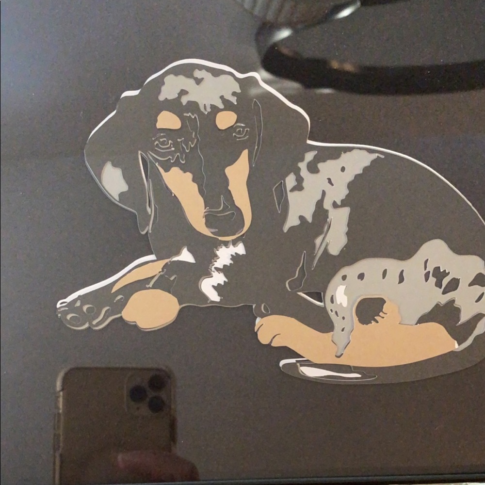 Dapple dachshund picture I made